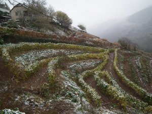 Les terrasses de LaVidalie sous la neige